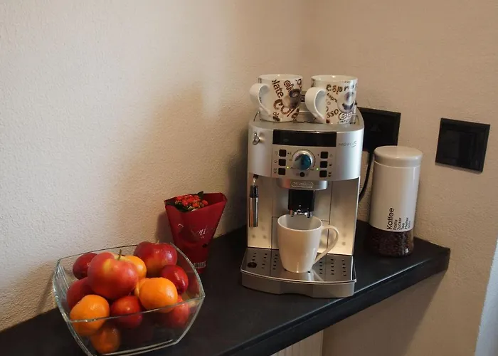 Altes Faehrhaus An Der Mosel Anno1633 * Traben-Trarbach